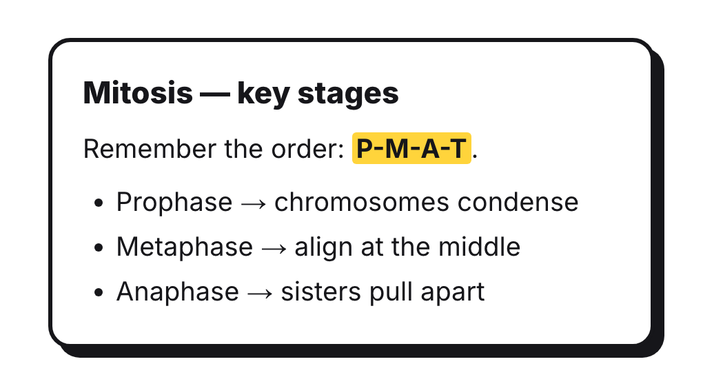 A rich note card titled Mitosis — key stages with formatting